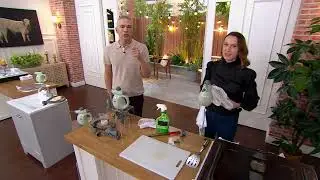 Bissell Steam Shot Handheld Steam Cleaner on QVC