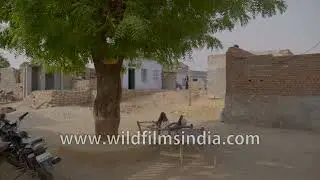 Capturing the essence of slow desert life in Rajasthan