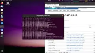 CERN ROOT Tutorial 2: Installing ROOT