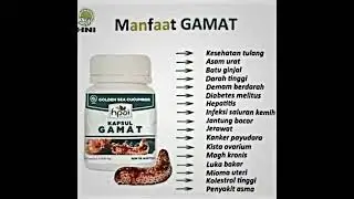 Kapsul Gamat - HNI HPAI #hpai