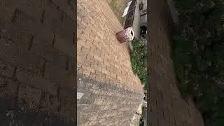 Roof damage call side by side             559 909 5864