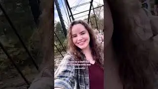 Come to a craft fair in Arkansas with me!! 😍🍁 fun small town girl fall adventures vlog #Shorts