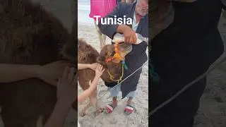 Tunisia Djerba