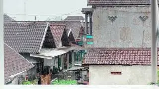 Morning Rain in Residential Area 🌧️ Calm Village Road Ambience