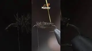 507 Year OLD Fly Still Catches Fish!!