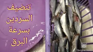 تنضيف وتجهيز السردين بسهولة و سرعة و من غير مجهود🐟