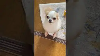 お出迎えsymphony 2カメ