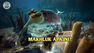 iLmuan Terkejut! Temukan Hewan Bermata 5 dengan Mulut Aneh Seperti ini