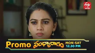 Sandya Ragam Latest Promo | Episode No 211 | 30th January 2026 | ETV Telugu