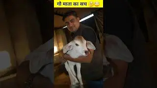 गौ माता का सच 🤔🙄 #shorts #shockingfacts #nepalfacts