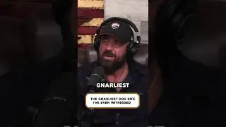 The Gnarliest K9 Bite I&rsquo;ve Ever Seen