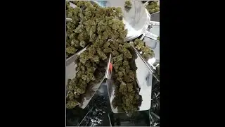 Hemp packaging production line