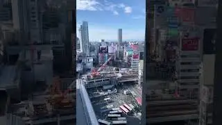 Free views over Shibuya Scramble, yes please! #japan #tokyo #shibuyascramble