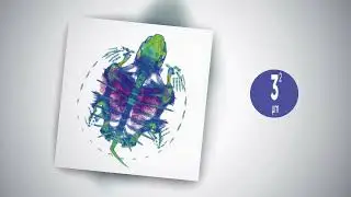 Delta DELab &mu;CT-100｜High Performance Imaging System in Micro CT｜Product Introduction