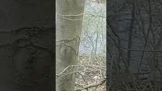 Appreciating nature.