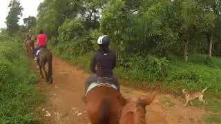 Gentle Trail Walk at Amigos Horse Riding (Pt 2)