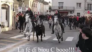 AIGUES-MORTES ▶ABRIVADO BANDIDO◀ 23.02.2024