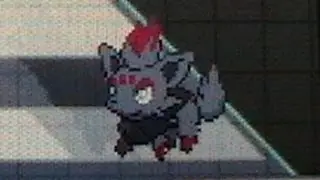 How to Activate your Relocator and use Event Celebi for FREE Zorua on Pokemon Black/White