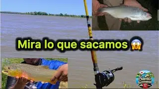 ARRANCAMOS EL 2026 A PURA PESCA 🎣Dorado,Salm&oacute;n de rio Mucha variada #goya #pesca #fishing #fish 