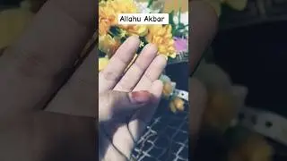 Quran translation #shortvideo #qurantranslationislamicvideo  #quranstudies#Nazreenkausar#viralshort