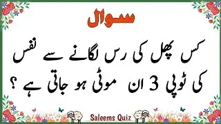 Urdu Quiz - Islamic Questions and Answers Urdu - Islamic Paheli - Islami Sawal Jawab - Saleem's Quiz
