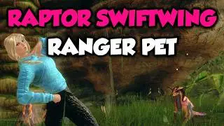 Guild Wars 2 NEW Ranger Pet Juvenile RAPTOR Swiftwing LOCATION