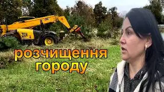 Прибираємо ялинки та інші дерева з городу. Життя в селі