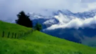 Google Earth Day Quiz