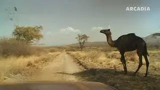Awash National Park &ndash; Ethiopia's wild side: waterfalls, hot springs & Lucy