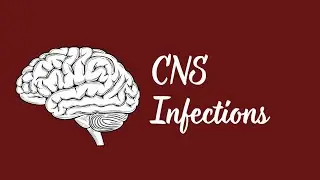 CNS infections||Meningitis|Encephalitis|Harrison Internal Medicine 
