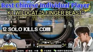 Chinese TDM God K1 Wildcat Classic Gameplay With 12 Kills CD!!! [Chinese Pros]