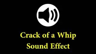 Crack of a Whip Sound Effect - Cartoon Sound Effect - sfx free