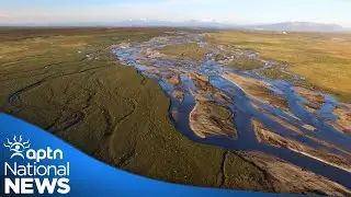 Vuntut Gwitchin chief 'pleased' no companies bid on oil leases to drill in Artic refuge | APTN News