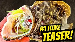 #1 Fluke Teaser: STOP Using Cheap Jigs!