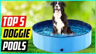 Top 5 Best Doggie Pools