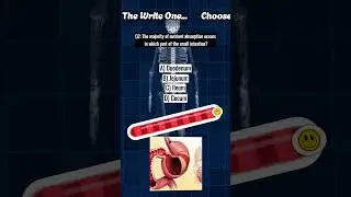 Over 50? Only 3% Pass This Gut Health & Memory Quiz! 🧠🩺
