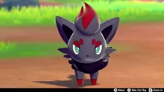 Zorua In Camp - Pokemon Sword & Shield