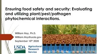 Ensuring food safety and security  Evaluating and utilizing plant pest pathogen phytochemical intera