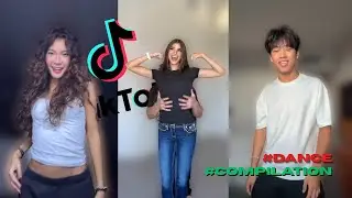 Best pitbull terrier Dance Trend Compilation