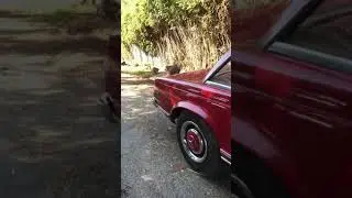 Mercedes Benz 230SL 1964 W113