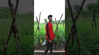 decis #viral #trending #agriculture #insecticide #farmer #organic #reels #garden #explore #india