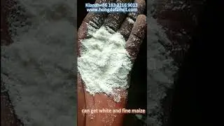 Produce Different Maize Flour Types with Hongdefa Milling Machines#hongdefa #maizeflour #maizemill