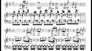 Dies Bildnis ist bezaubernd sch&ouml;n (Die Zauberfl&ouml;te - W.A. Mozart) Score Animation