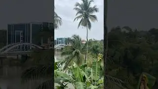 Piravom #shortvideo #shorts