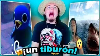 VIMOS UN TIBURÓN FLUORESCENTE 😱🦈