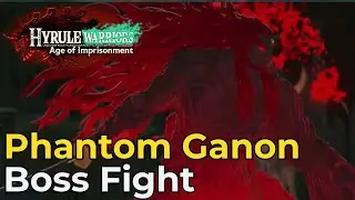 Phantom Ganon | Boss Fight [Hyrule Warriors: Age of Imprisonment]