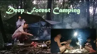 Deep Forest Camping & Cooking &ndash; Hammocks, Tents, and a Peaceful Nature Retreat