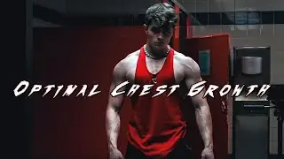 Optimal Chest Growth at David Laid's Gym | Atilis Gym EHT
