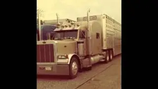 Little more pure country livestock association