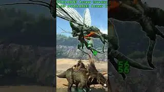 COMMENT TAME UN RHYNIOGNATHA ?